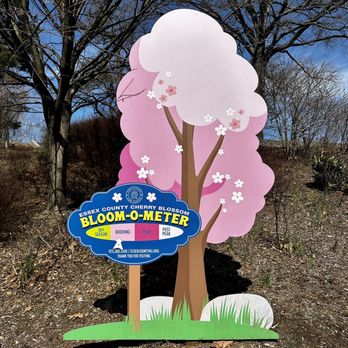 Branch Brook Park - Bloom-O-Meter! - Parks Near Me - Newark, New Jersey