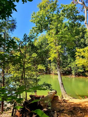 Lake Norman State Park by null