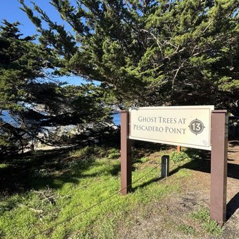 17-Mile Drive Scenic Tour - Local Flavor Near Me 17-Mile Drive Scenic Tour - Local Flavor Near Me