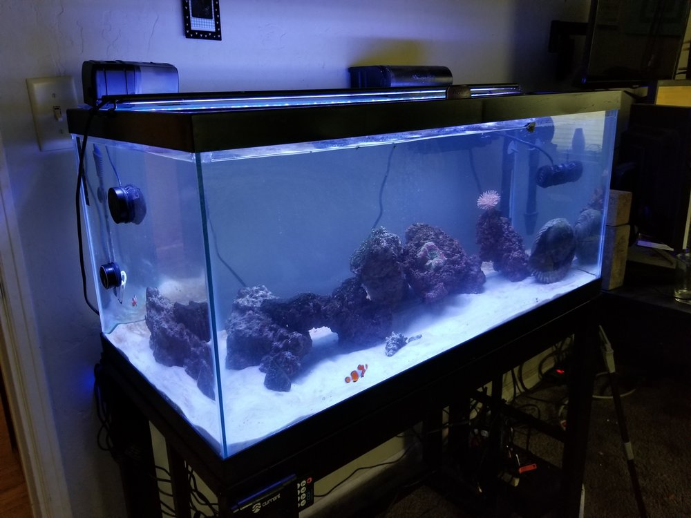 AUTHENTIC AQUARIUMS 30 Photos & 17 Reviews San Diego, CA Yelp