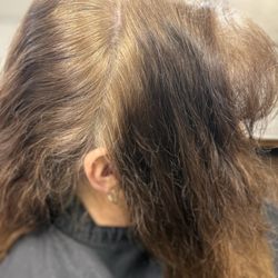 Artistry in Hair