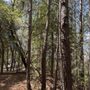 Photo of Chincoteague Natural History Association