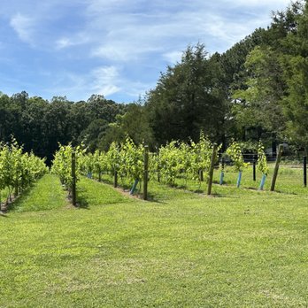 River Dog Winery - Vineyard at River Dog Winery - Wineries Near Me - Henrico, Virginia