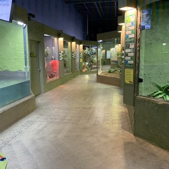 Reptilia - Exhibits - Zoos Near Me - Whitby, Ontario