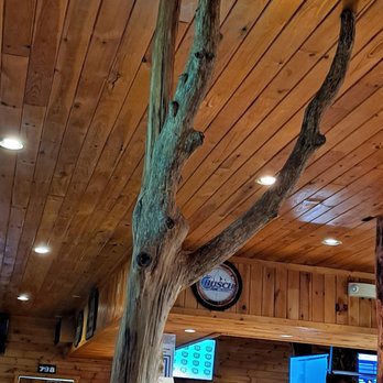 Schiffty's - a tree in a restaurant - Pizza Near Me - Westfield, Pennsylvania Schiffty's - a tree in a restaurant - Pizza Near Me - Westfield, Pennsylvania