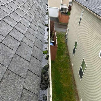 Experienced Roof & Gutter Cleaning - Before Cleaning - Gutter Services Near Me - Kent, Washington Experienced Roof & Gutter Cleaning - Before Cleaning - Gutter Services Near Me - Kent, Washington