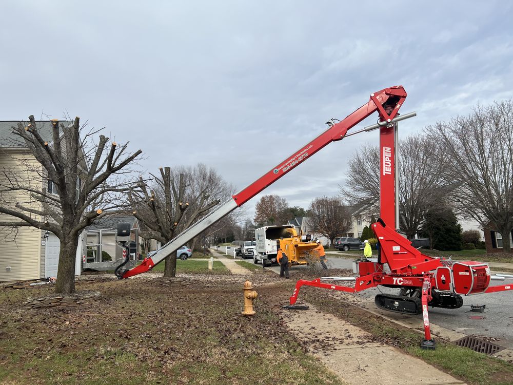 Ocampo Landscaping & Tree Service - tree service in Winston Salem , NC
