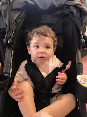 Moo Hope Ice Cream by null