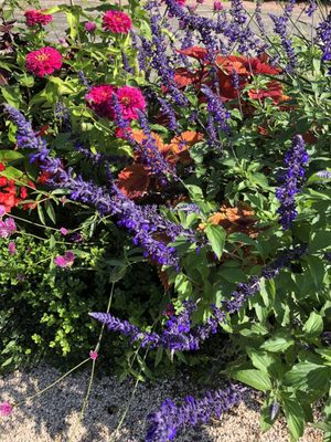 Jardin Botanique de l'Arquebuse by null