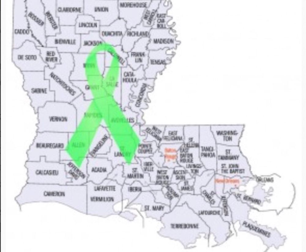 Louisiana Lyme Association - grief counselor in New Orleans, LA