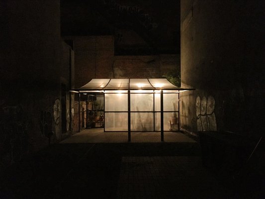 Cactus Store by null