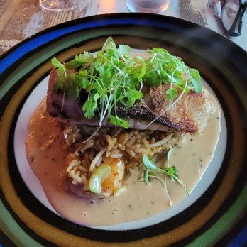 Flavour Kitchen & Wine Bar - Grouper special - Wine Bars Near Me - Cocoa Beach, Florida Flavour Kitchen & Wine Bar - Grouper special - Wine Bars Near Me - Cocoa Beach, Florida