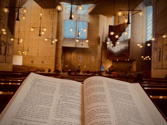 Cathedral of Our Lady of the Angels by null