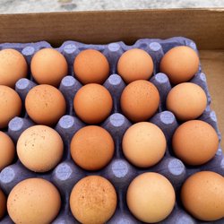 The Stand - Fresh farm eggs