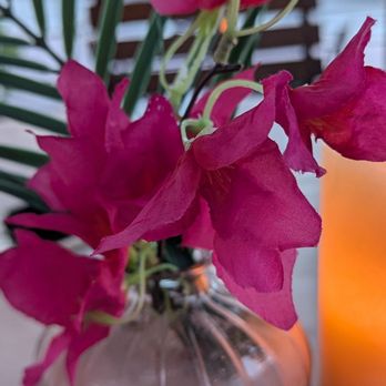 Cafe Americano - Table setting - American Near Me - Miami Beach, Florida