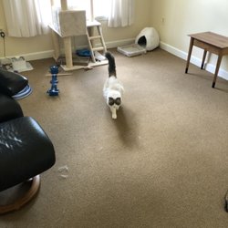 Brighton Gardens of Saddle River - Cats?