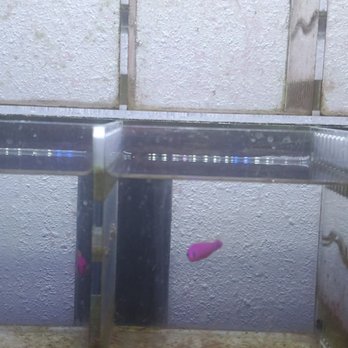 River City Aquatics - Local Fish Stores Near Me - Austin, Texas River City Aquatics - Local Fish Stores Near Me - Austin, Texas