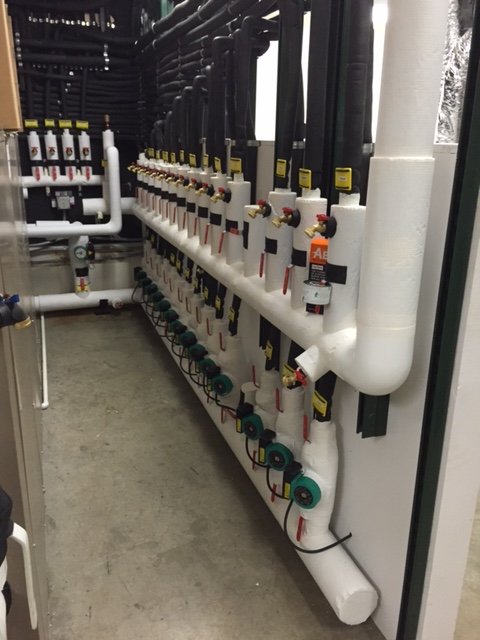 Slide of William Perotti & Sons