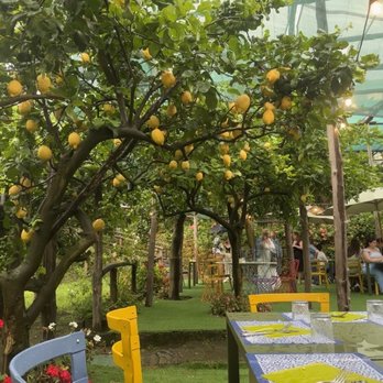 La Limonaia - Restaurants Near Me - Sorrento, NA