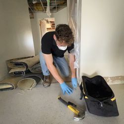 Environmental Mold Inspections