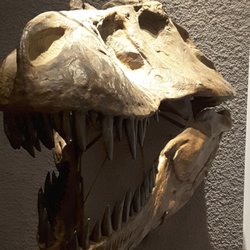Museum am Löwentor