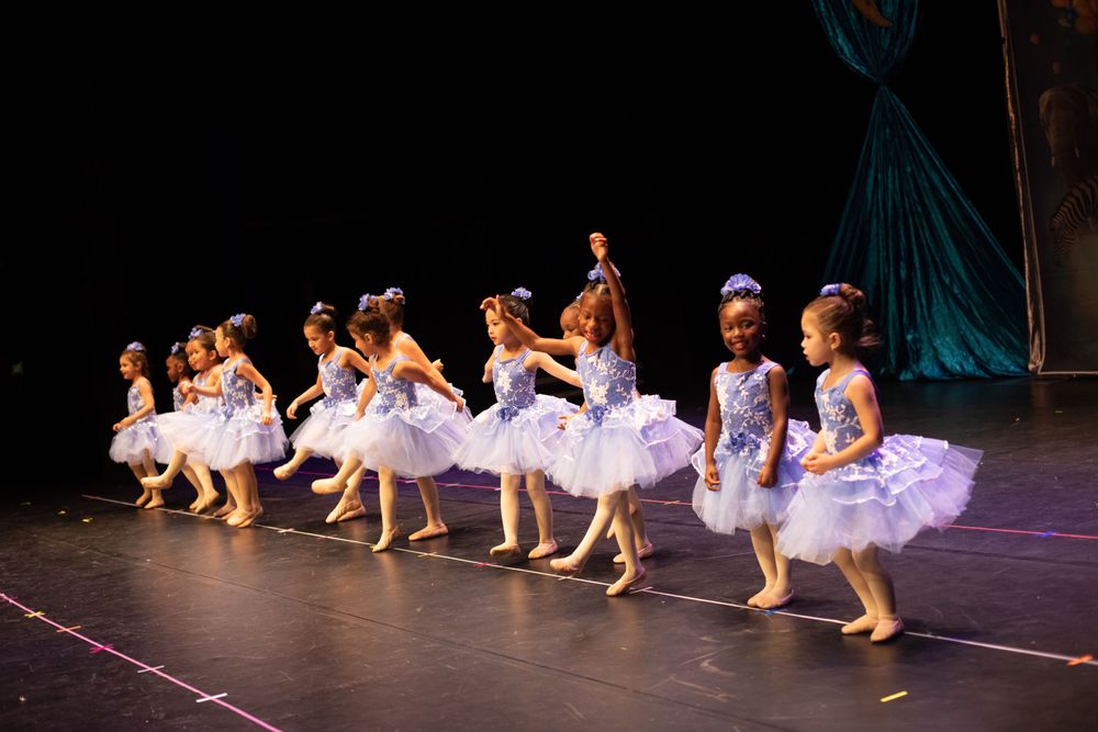 Debby Dillehay Dancers Logo