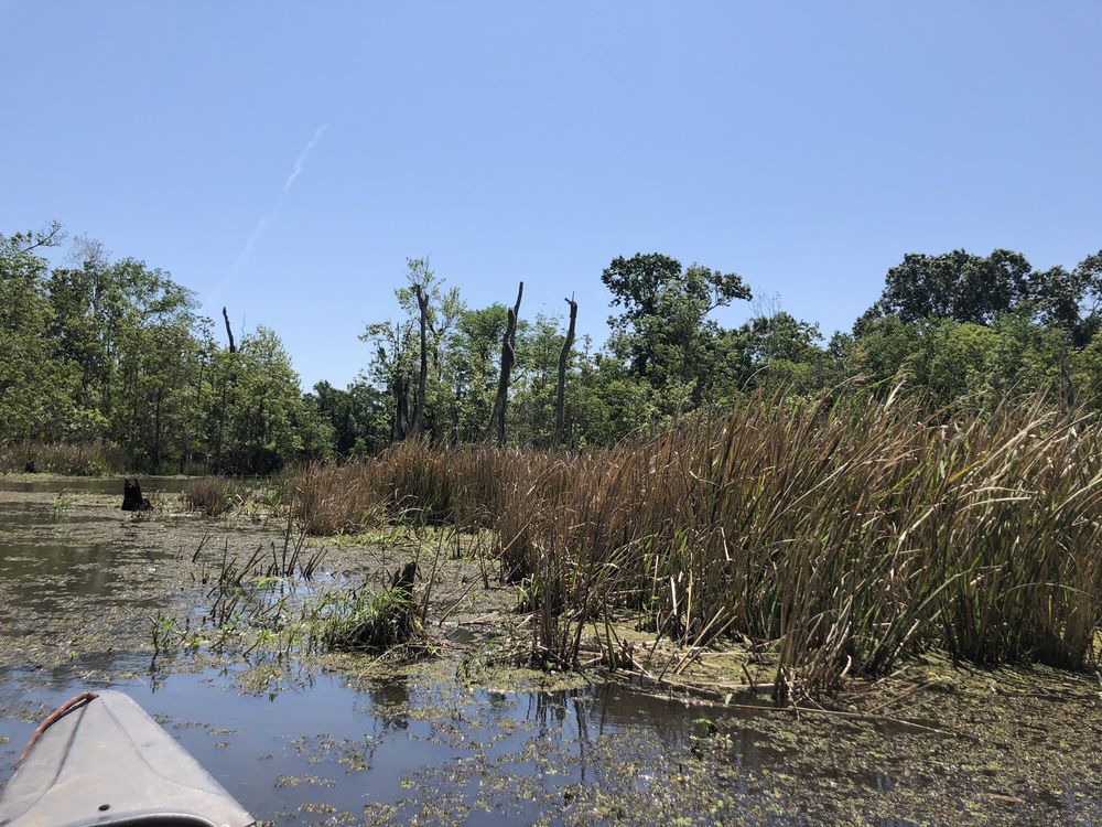 PALMETTO ISLAND STATE PARK 55 Photos & 15 Reviews Parks 19501