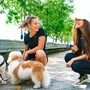 Photo of Go Biscuit NYC