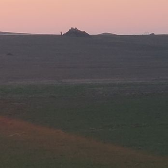 Bryan’s Meat Company - a lone giraffe in the distance - Meat Shops Near Me - Pasco, Washington