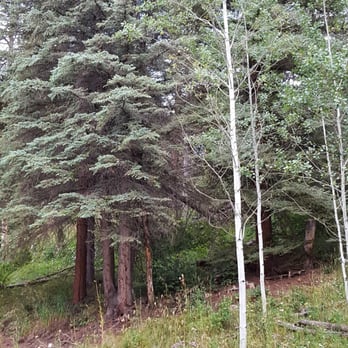 Marriott's StreamSide Birch at Vail - Patio view - Hotels Near Me - Vail, Colorado
