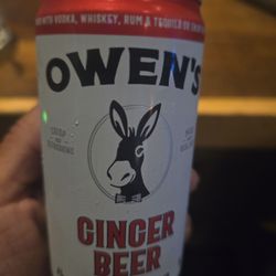 Sagres Bar & Grill - Non-Alcoholic Ginger Beer