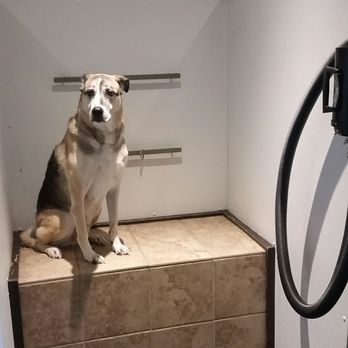 Scrub-A-Pup - Pet Groomers Near Me - East Greenwich, Rhode Island