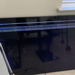 Tv Guy