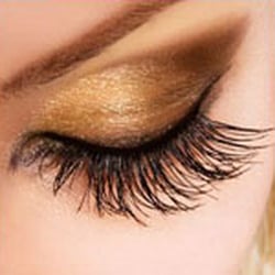 Perfect Lashes - Eyelash Extensions Southampton
