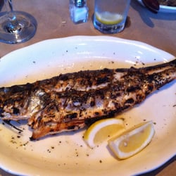 Neraki Greek Mediterranean Grill - Bronzino