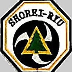 Asheville Shuri-ryu Karate-do Kai