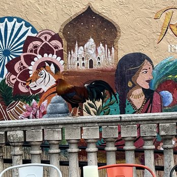 Rasoi Indian Cuisine - Indian Near Me - Tampa, Florida Rasoi Indian Cuisine - Indian Near Me - Tampa, Florida