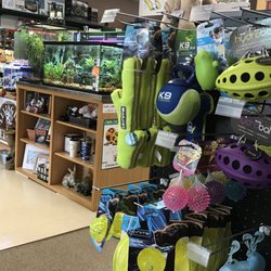 Lexington Pet Place - Dog toys and front of store