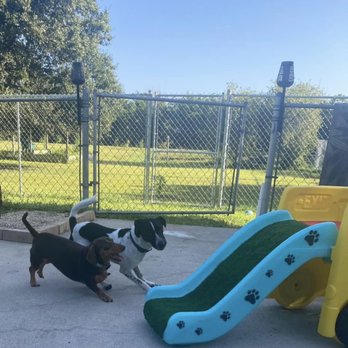 Happy Paws Ranch - Pet Boarding Near Me - Fort Myers, Florida Happy Paws Ranch - Pet Boarding Near Me - Fort Myers, Florida