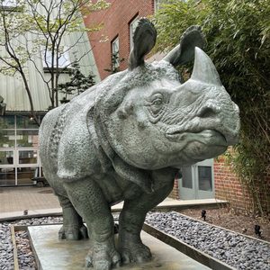 School of the Museum of Fine Arts at Tufts University on Yelp