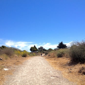 Albany Bulb - Landmarks & Historical Buildings Near Me - Albany, California Albany Bulb - Landmarks & Historical Buildings Near Me - Albany, California