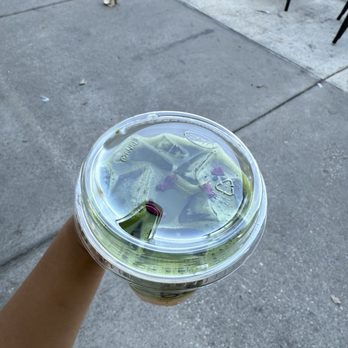 Sorbo - Matcha - Wine Bars Near Me - Wesley Chapel, Florida Sorbo - Matcha - Wine Bars Near Me - Wesley Chapel, Florida