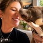 Nancy's Pet Care Service