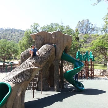 Frank Raines Regional Park - Tree slide - Parks Near Me - Patterson, California