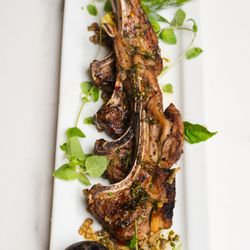 Lamb Chops