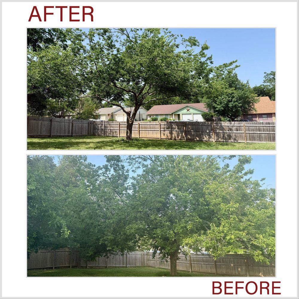 Larry's Tree Service - Tree Services Near Me - Wimberley, Texas Larry's Tree Service - Tree Services Near Me - Wimberley, Texas
