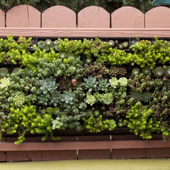 MK Landscape Design - Living succulent wall - Landscape Architects or Designers Near Me - San Diego, California MK Landscape Design - Living succulent wall - Landscape Architects or Designers Near Me - San Diego, California
