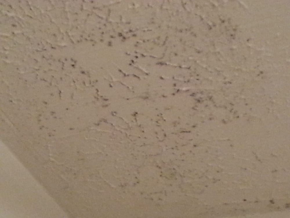 RUSTIC ARMS APARTMENTS Updated May 2024 50198 W Rustic Dr, Saint