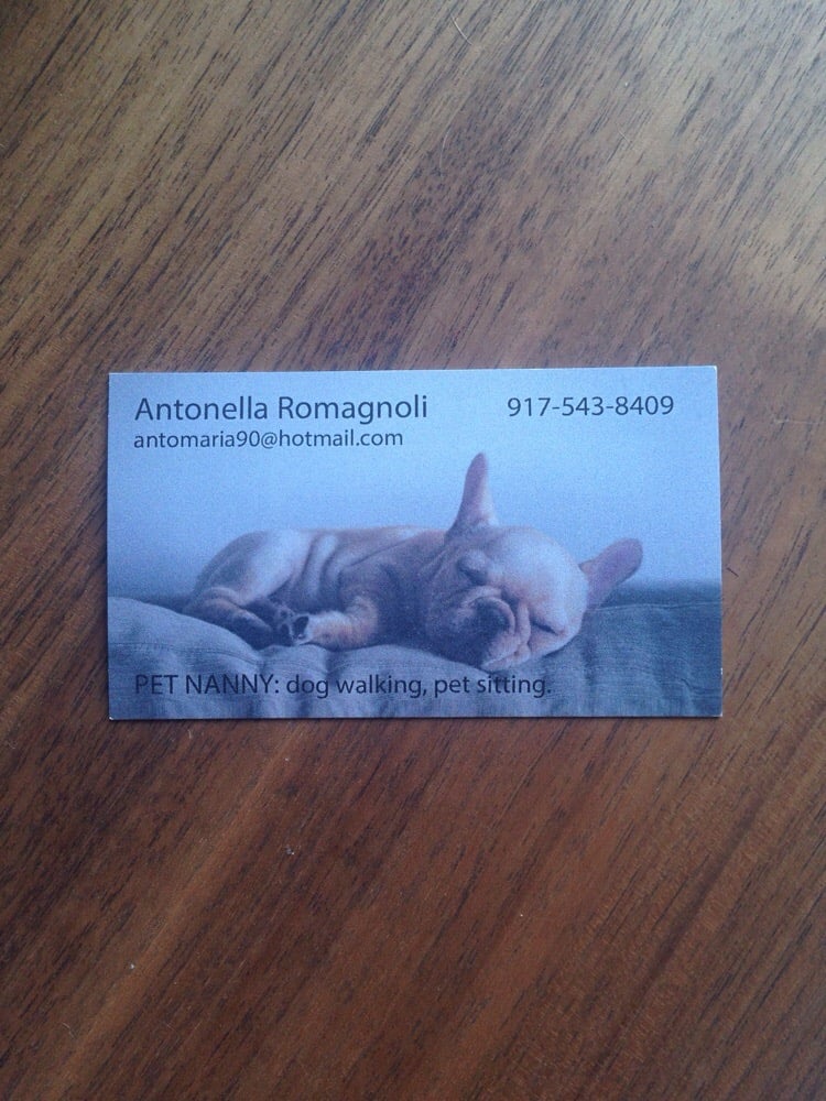 BRICKELL PET SERVICES 60 SW 13th St, Miami, Florida Dog Walkers