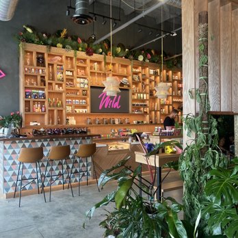 Wild - CBD cafe area - Coffee & Tea Near Me - Houston, Texas Wild - CBD cafe area - Coffee & Tea Near Me - Houston, Texas